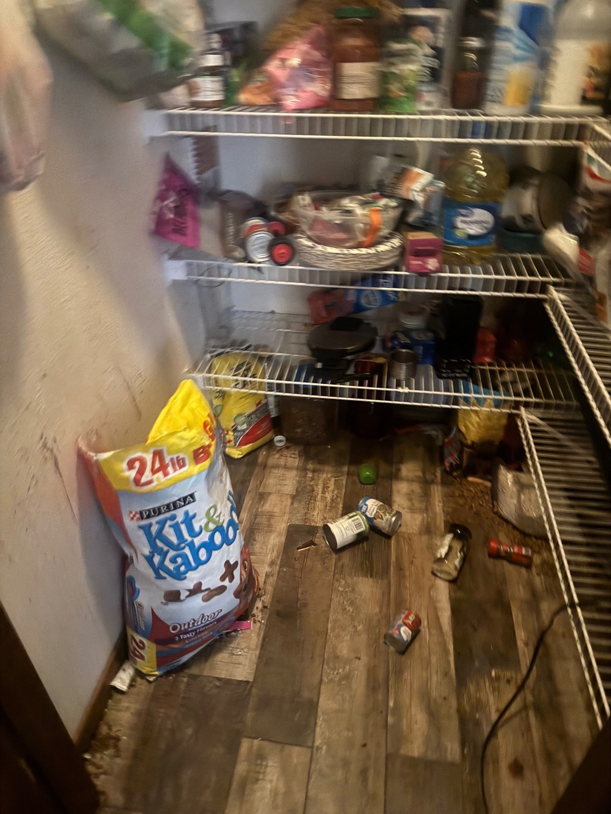 Pantry Organization before cleaning or clearing